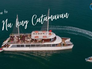 Du thuyền thăm vịnh 5* Catamaran – Lan Ha Bay